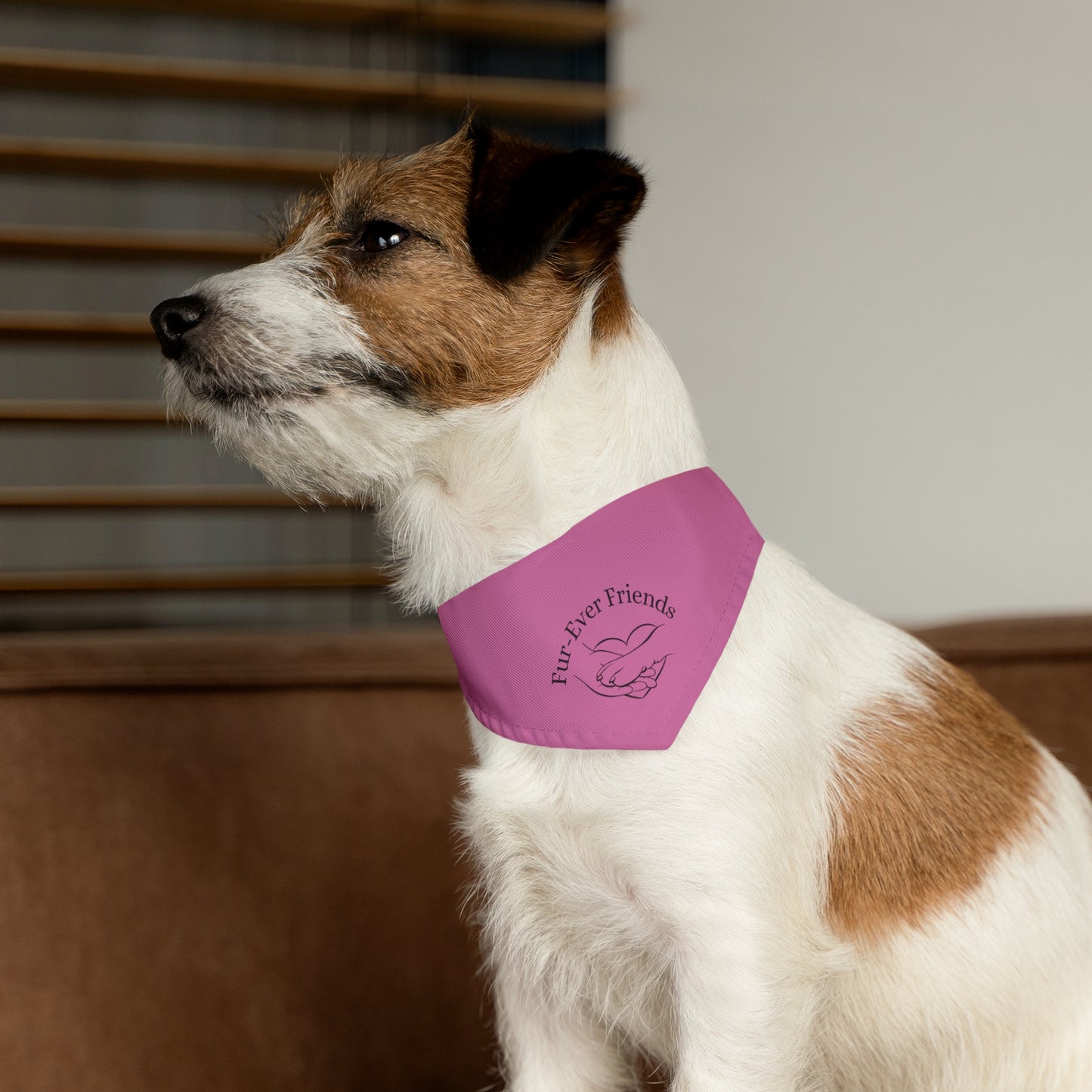 Designer Pet Bandana Collar -FurEver