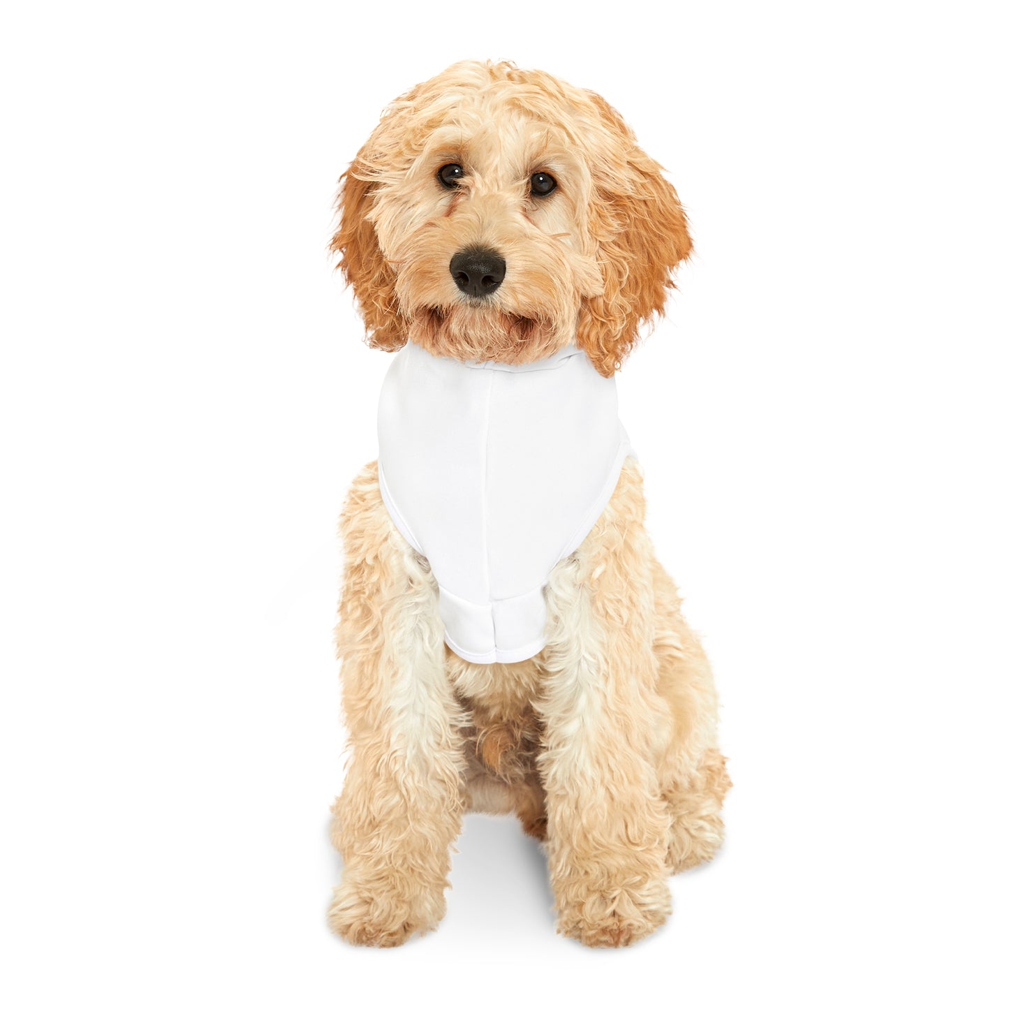 Designer Pet Hoodie -Reflect