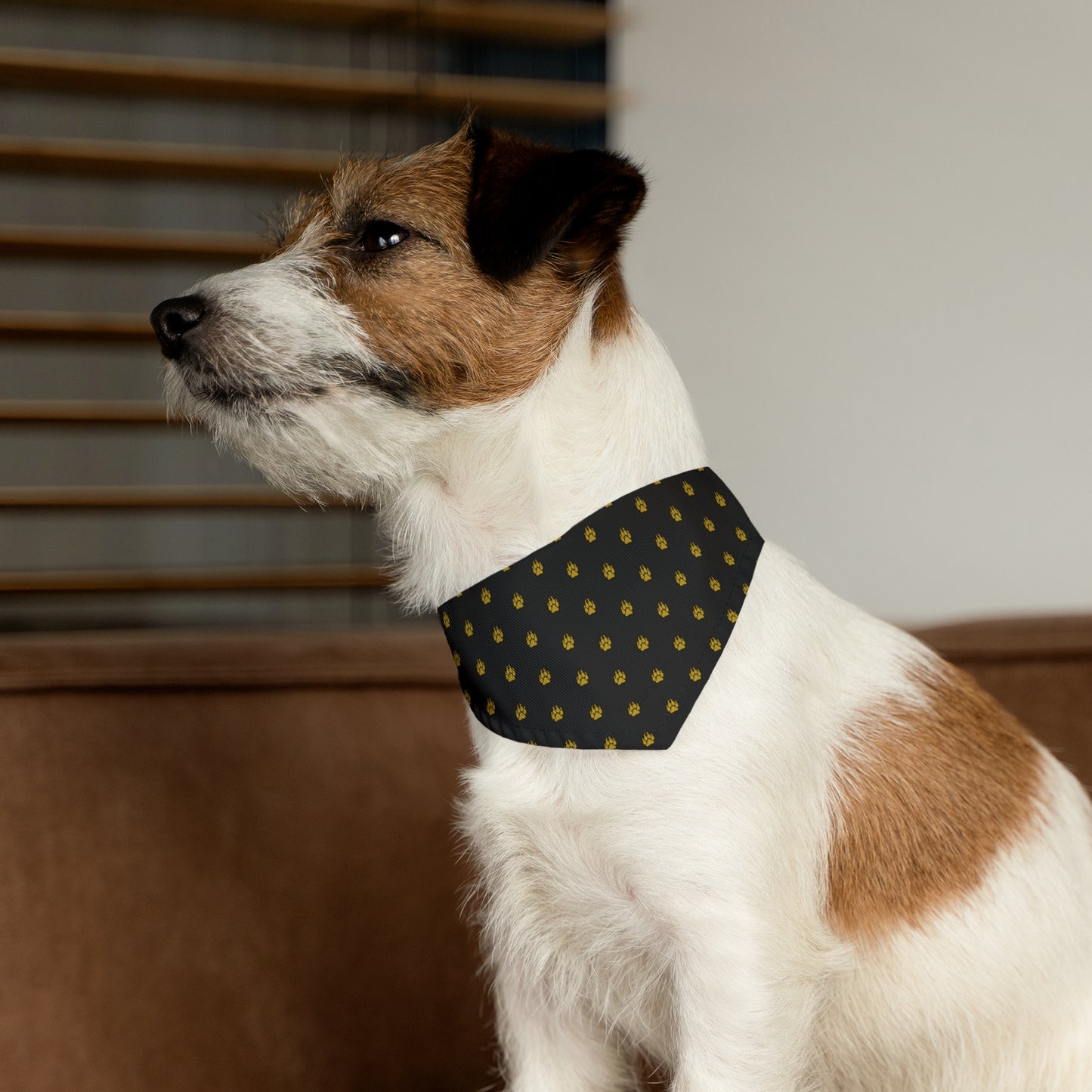 Designer Pet Bandana Collar -Paw