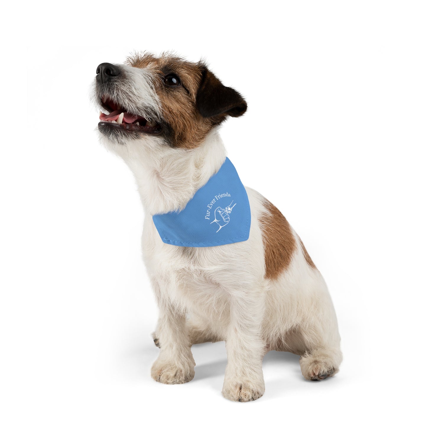 Designer Pet Bandana Collar -FurEver