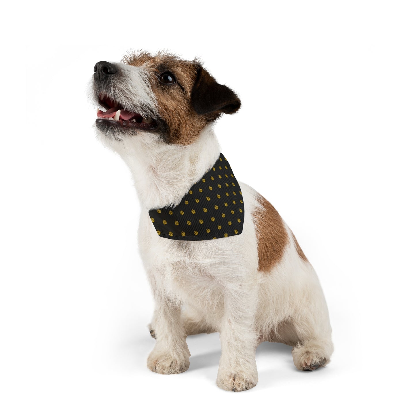 Designer Pet Bandana Collar -Paw