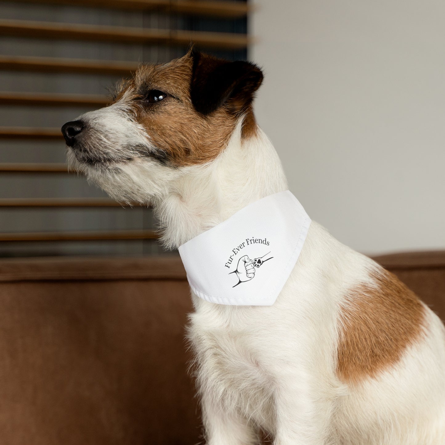 Designer Pet Bandana Collar -FurEver