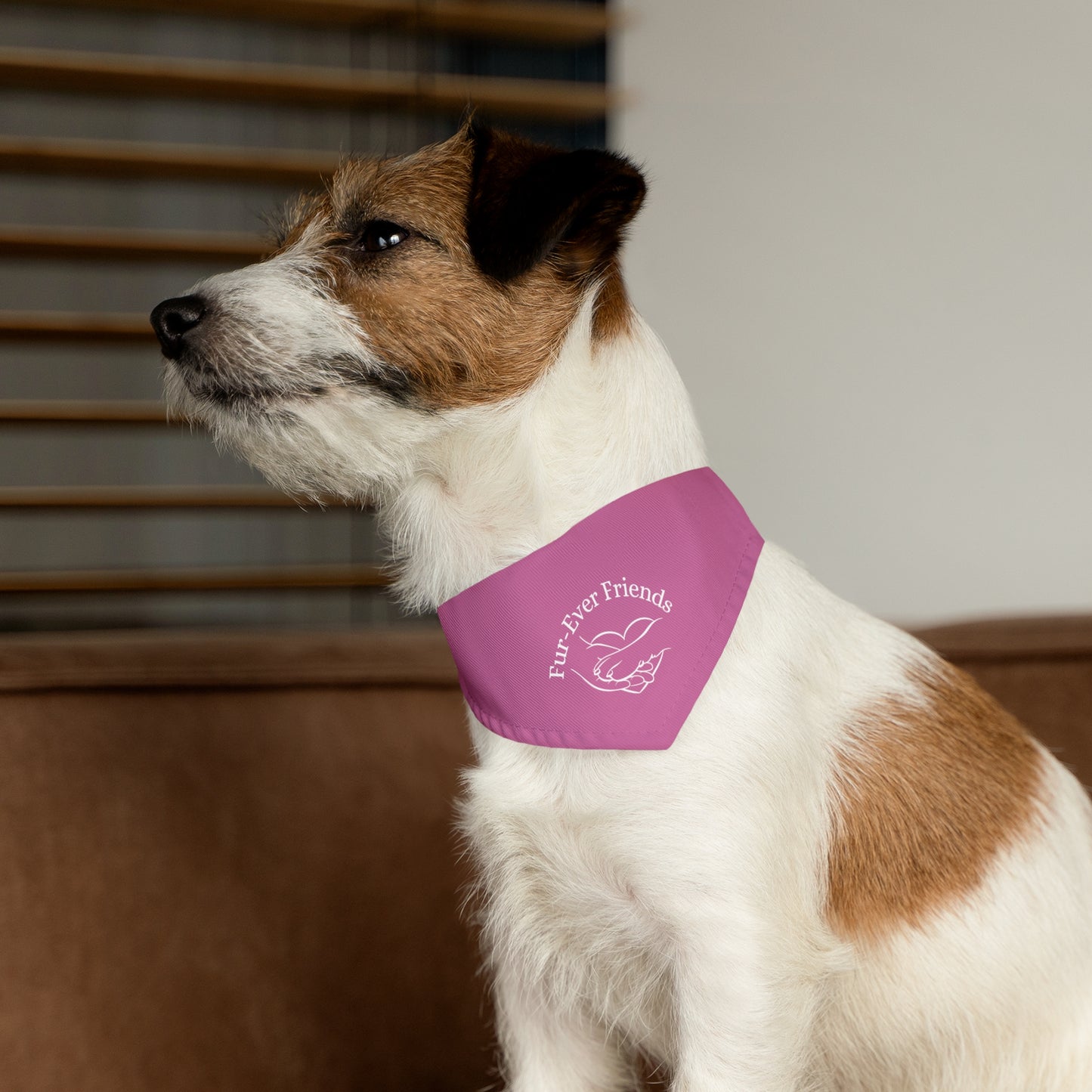 Designer Pet Bandana Collar -FurEver